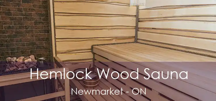  Hemlock Wood Sauna Newmarket - ON