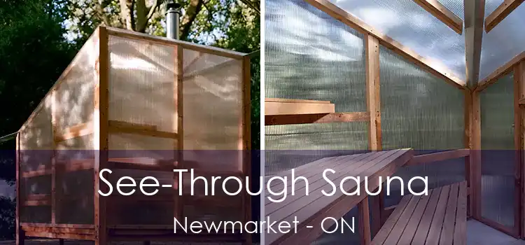  See-Through Sauna Newmarket - ON
